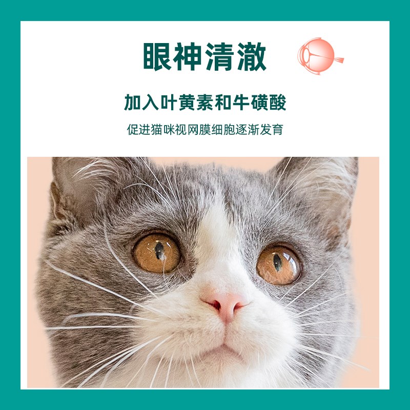阿猫犬雪山低温烘焙猫粮高蛋白鸡肉三文鱼成猫幼猫增肥发腮全阶段