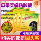 工厂粘苍蝇双面黄色粘虫板捕虫板庭院阳台小区杀飞虫大棚灭蝇10片