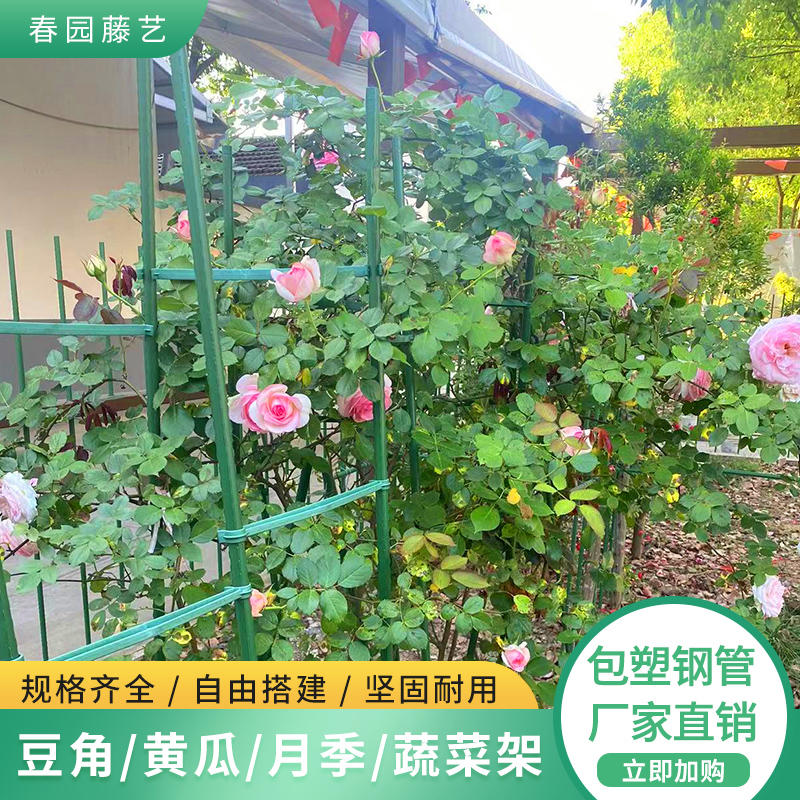 爬藤架支架种菜架子园艺花架花园阳台花爬架植物豆角黄瓜架葡萄架