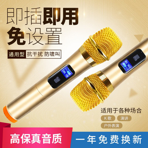 专业级一拖二家用无线话筒U段唱歌K歌演出会议主持婚庆KTV防啸叫