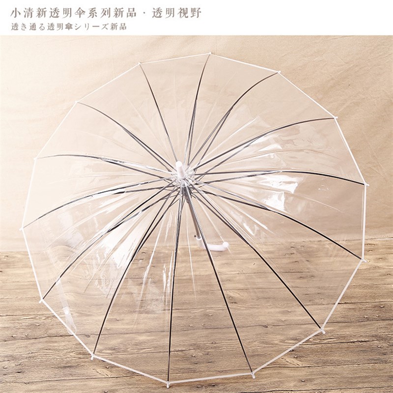 公主14骨加厚透明雨伞韩国版小清新长柄学生简约森系女神双人大伞
