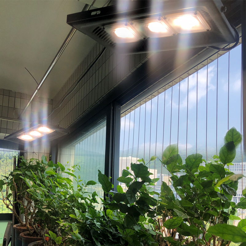 月季补光灯花卉全光谱多肉植物绣球蔬菜育苗室内家用仿太阳补光灯