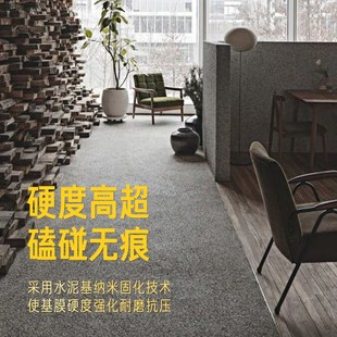 诗尔丹粉料双组份水洗石包工包料地面墙面一体漆艺术涂料户外材料