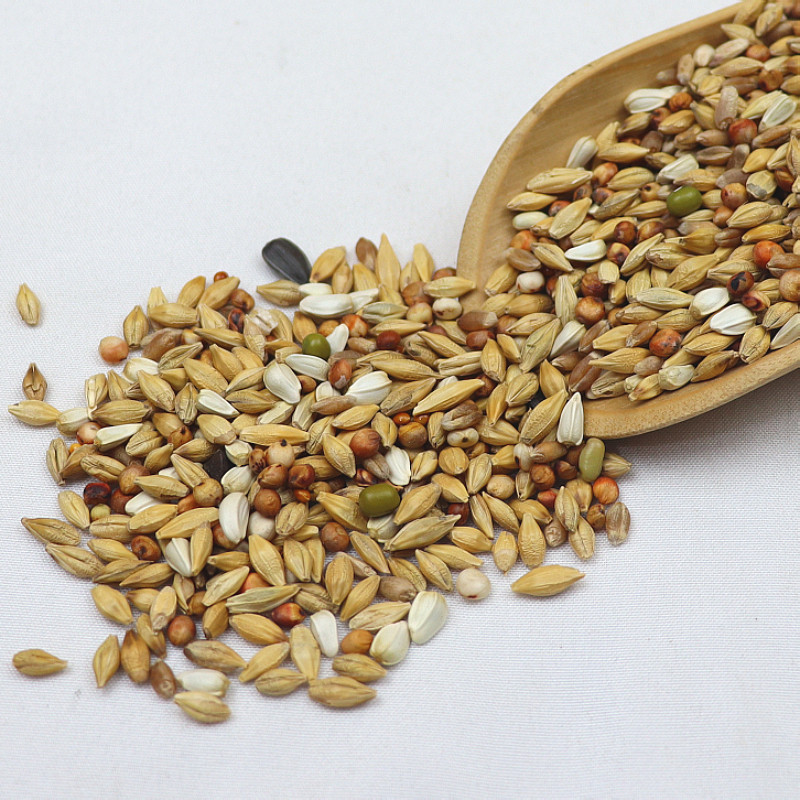 20斤装清除鸽粮鸽子食饲料信鸽换毛期专用幼鸽鸽粮鸟类鸟食