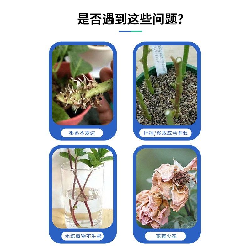 快速生根液扦插移栽花卉树木强力壮苗水植物营养液花肥通用型粉剂,鲜花速递/花卉仿真/绿植园艺,家庭园艺肥料,淘宝优惠券,粉丝福利购,淘宝优惠卷