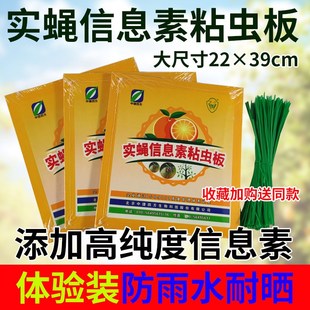 果蝇贴昆虫信息素粘虫q板双面黄板果园实蝇粘胶板农用诱虫针蜂贴