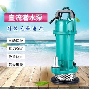 家用无刷直流泵潜水泵高扬程48V60V抽水机电动电瓶车农用抽水泵