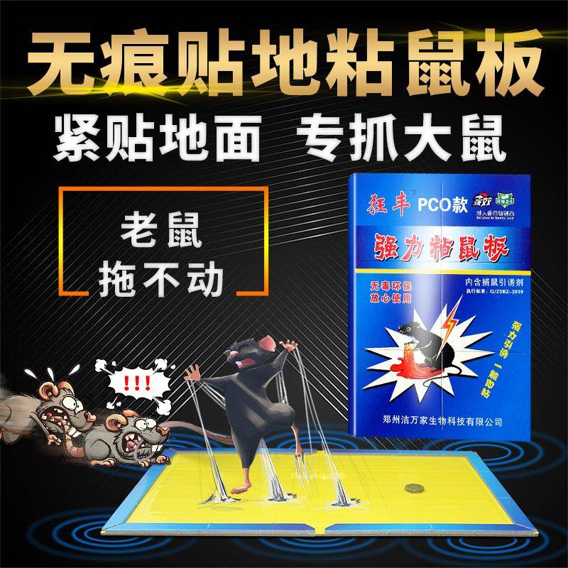 新疆包邮粘鼠板强力扑捉逮夹抓笼捕鼠器神器克星灭鼠胶粘板家用大