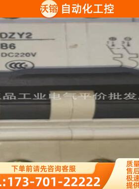 正品 DZY2 B6A 2P DC220V 东牧 小型直流断路器【议价】