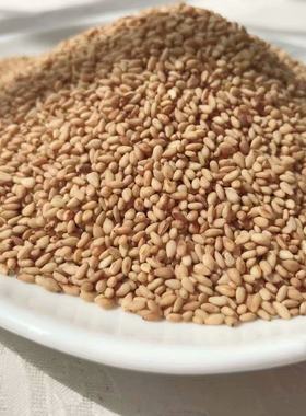 带皮熟芝麻5斤装6.64元/斤 干净免洗 白芝麻 香芝麻 欣荣芝麻