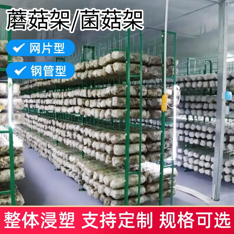 蘑菇架培菌蘑菇养殖网格网架花架网片温室蘑菇养殖网片图片