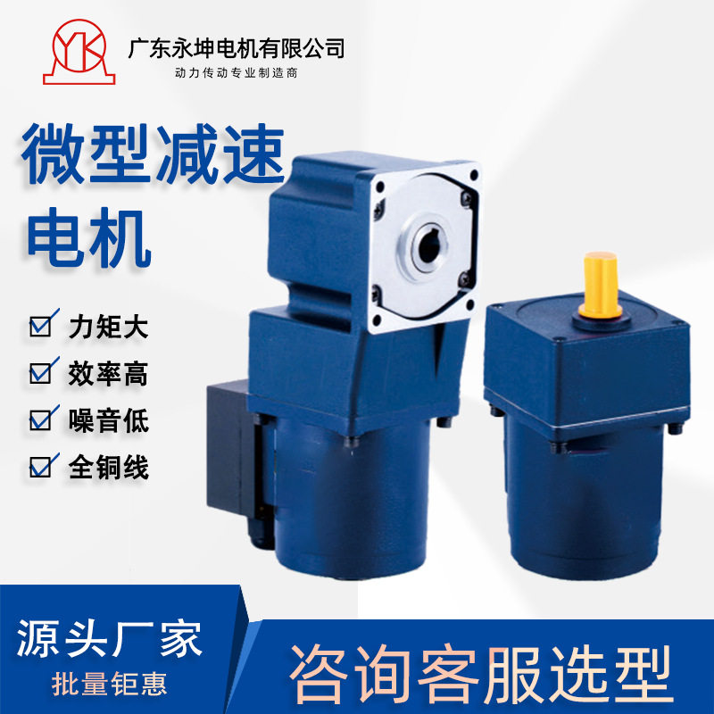微型减速电机 齿轮减速马达 可调速变频电机 非标 直供
