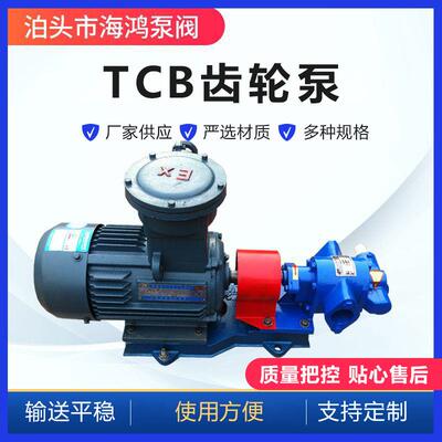 TCB齿轮泵TCB-2CY系列防爆铜卧式齿轮输油泵抽油防爆输油