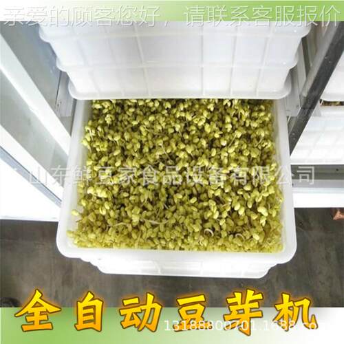广东THZ厂家用无小型豆机 公害全自动豆芽机生产设芽备 大型豆芽