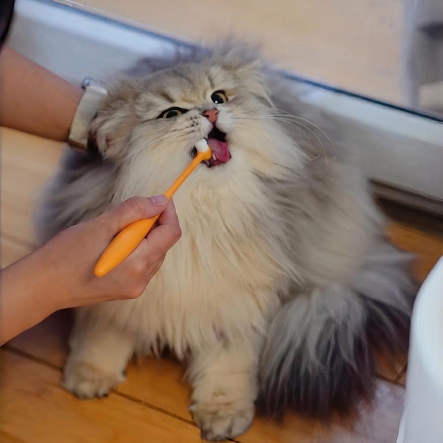 宠物牙刷猫咪牙刷狗狗牙刷猫咪刷牙小型犬超软短柄万毛不伤牙龈