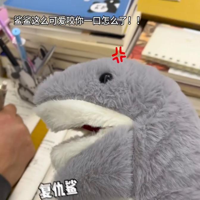 小红书同款可爱鲨鱼毛绒安抚玩具