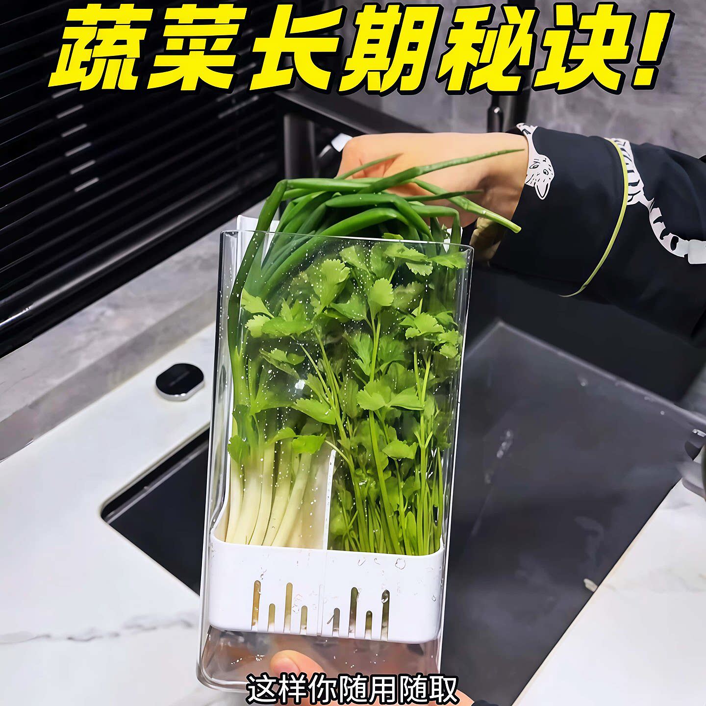 收纳食品级器蔬菜持久香菜食品级水保鲜盒侧门小葱水培盒养神冰箱