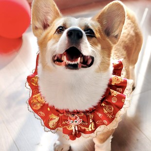 宠物狗狗蛇年喜庆围脖过年红围巾金蛇口水巾节日装饰拍照用品柯基