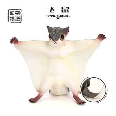 儿童仿真野生动物模型玩具飞鼠