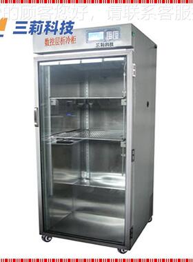 SLC柜X-Ⅱ单开门层析 数控实验锈冷SLCX-Ⅱ柜 800温升内胆不钢低