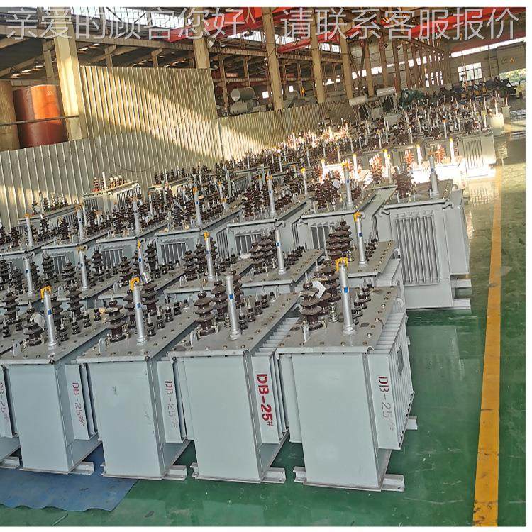 S1-6m 160kva/10kv节能800千伏安1000kw1250千瓦1030KVA03油浸式