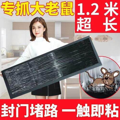 Magic Carpet Rat Trap, Strong Adhesive Mouse Board, Transpar
