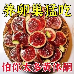 90倍浓缩新疆特产2025新货无花果风干熬夜养生 女人不老 秘密