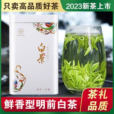 白茶安吉特级2023年新茶礼盒装珍稀口粮绿茶250g雨前散装正宗茶叶