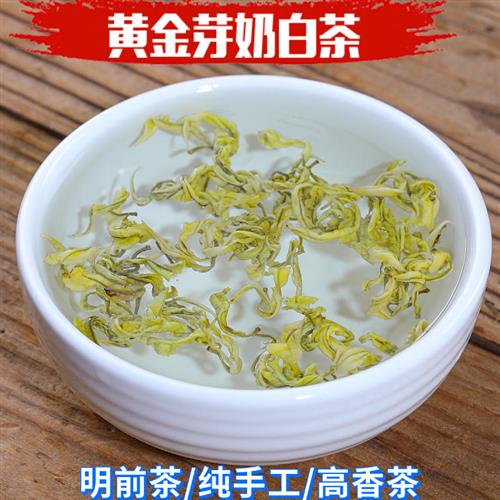 纯手工奶白茶黄金芽2023年安吉茶树品种珍稀白茶明前特级头采新茶