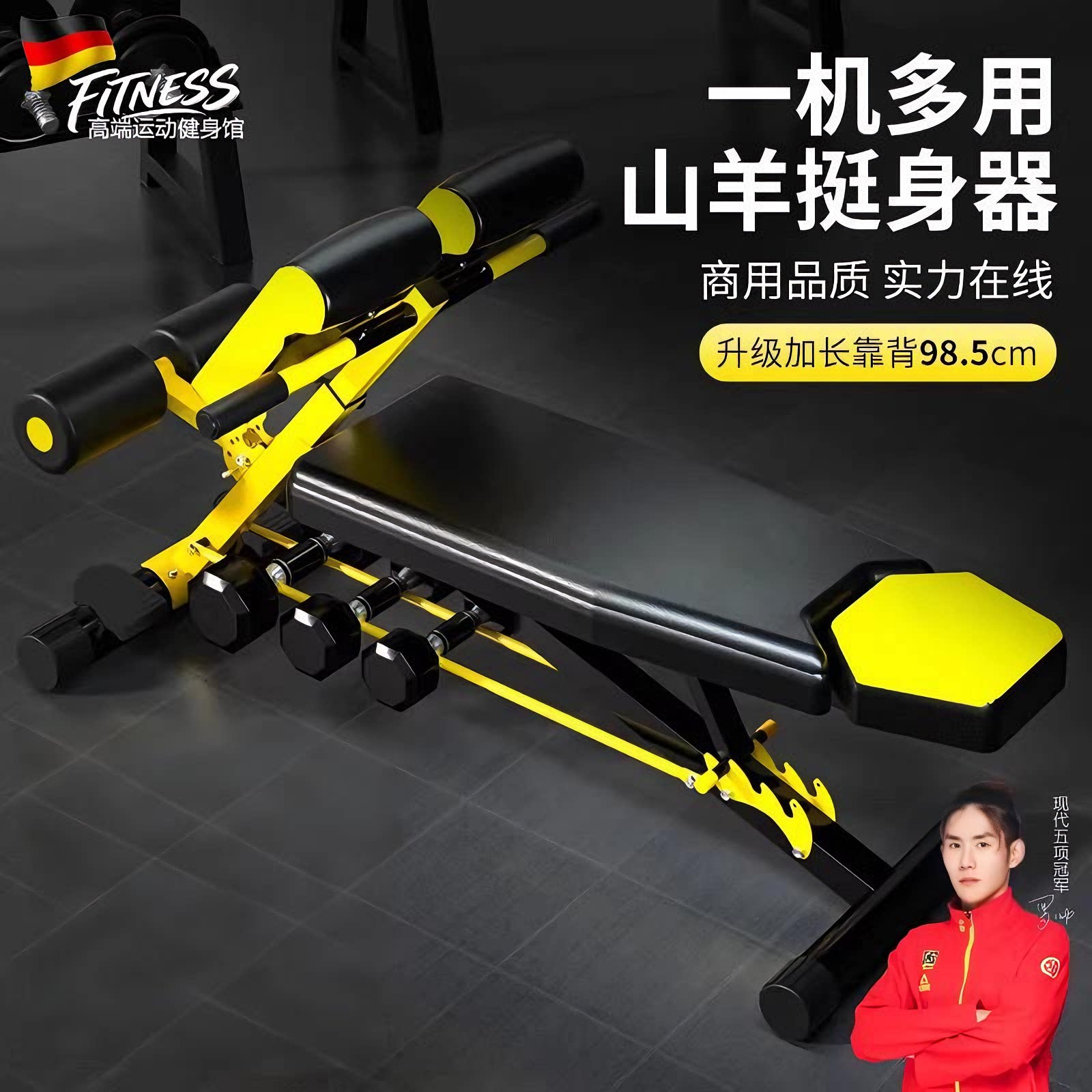 德国罗马椅家用仰卧起坐凳哑铃凳