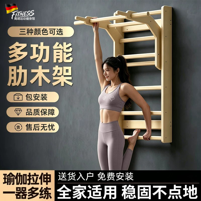 德国肋木架引体向上综合训练器材
