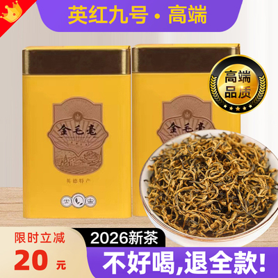 【2026新茶】英红九号金毛毫头春