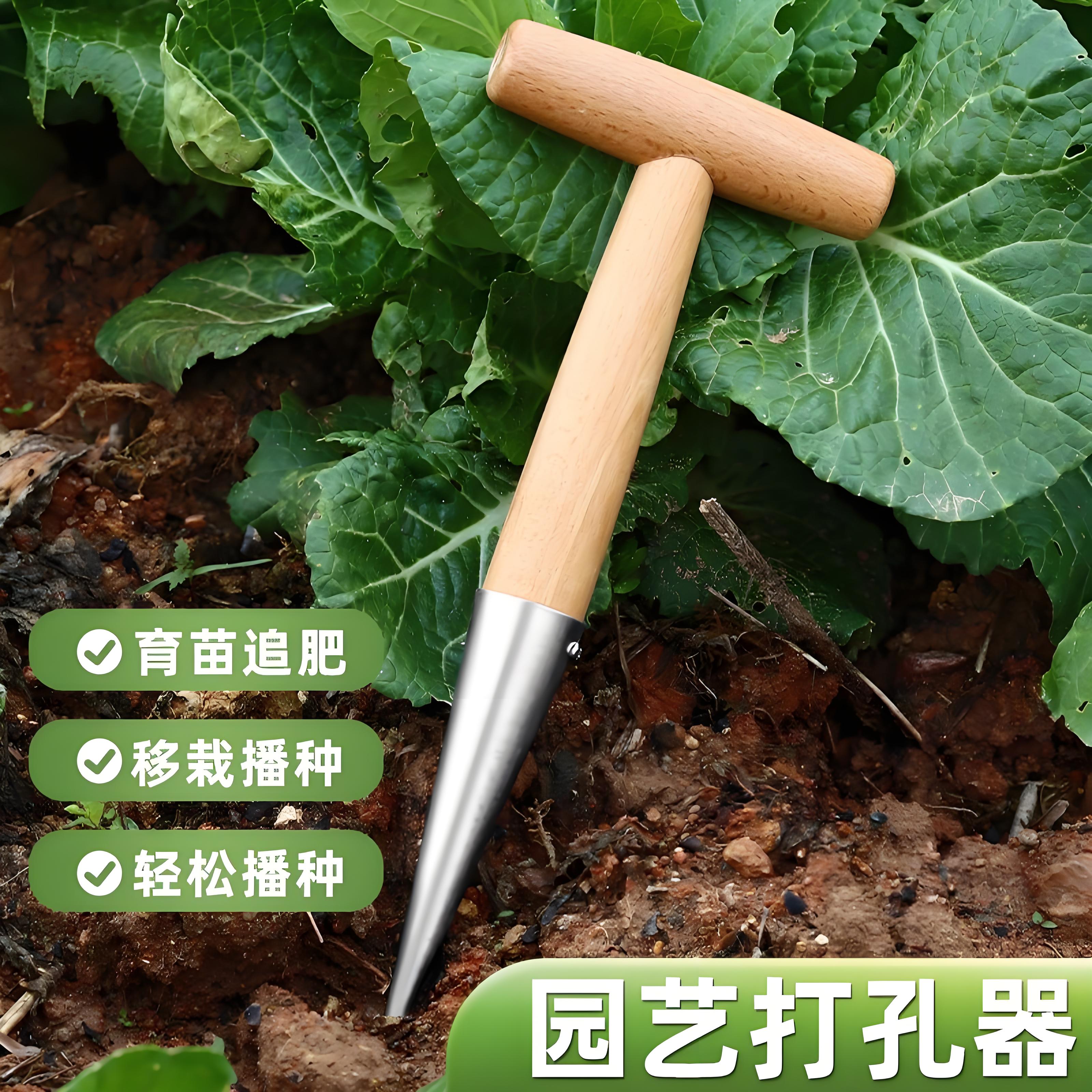 移苗播种打洞器追肥种菜不锈钢育苗菜籽多肉工具播种花园种苗神器