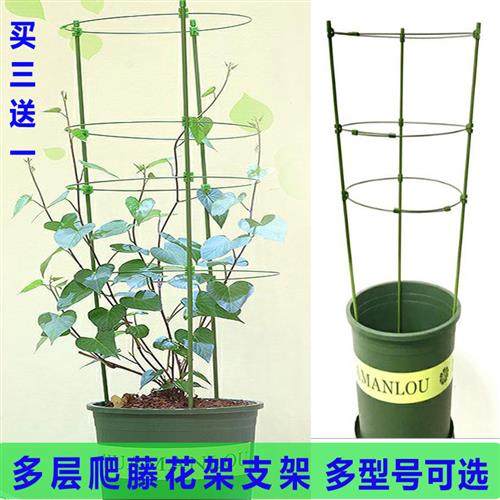 爬藤植物花架支撑杆园艺架子月季支架室外阳台金钱树倒伏网格专用,鲜花速递/花卉仿真/绿植园艺,花架,淘宝优惠券,粉丝福利购,淘宝优惠卷