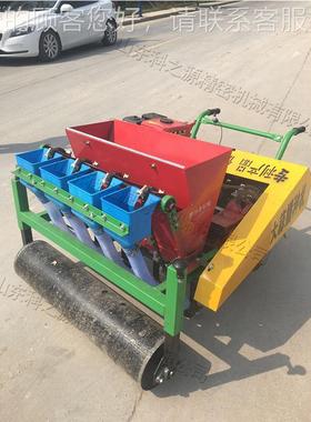 走式蒜瓣点播平机械 自原丘IBX陵大播蒜种机 风冷汽油型播种设备