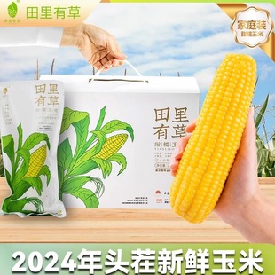 田里有草黄糯玉米200g×12根鲜食玉米即食香鲜粗粮真空包装味初色