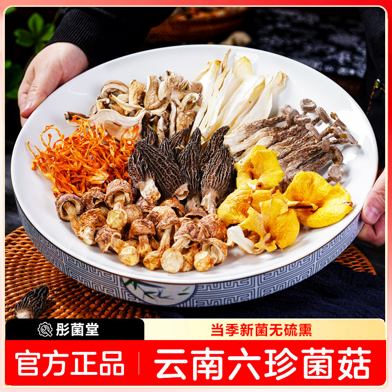 彤菌堂松茸菌汤包云南昆明野生