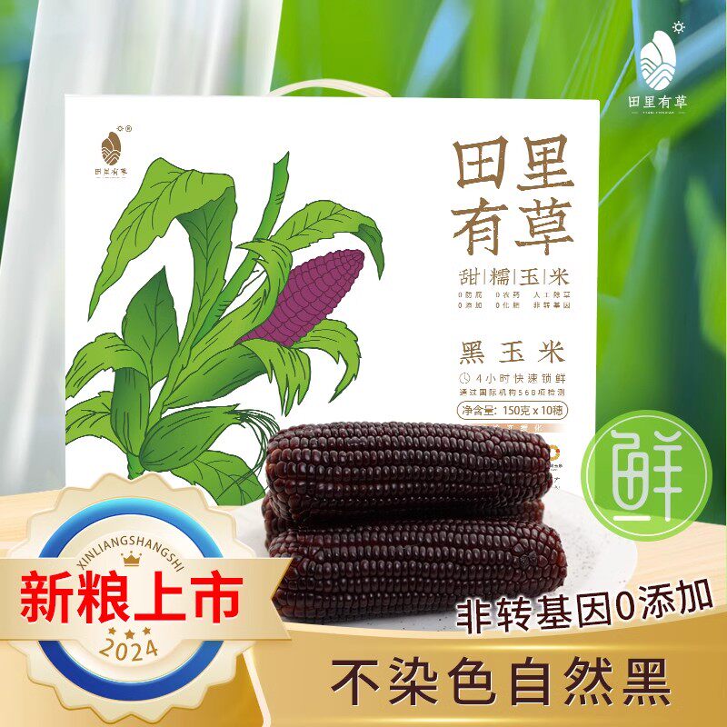 田里有草黑玉米含花青素