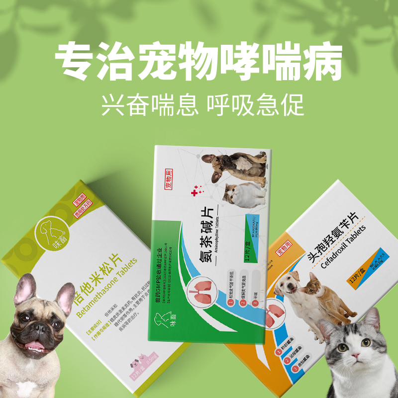 味畜氨茶碱支气管哮喘治疗