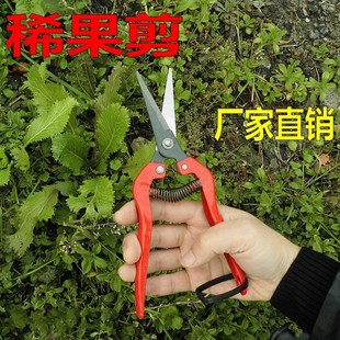 园艺剪刀花枝剪树枝修枝剪刀果树剪刀粗枝剪园林果枝剪摘果剪稀果
