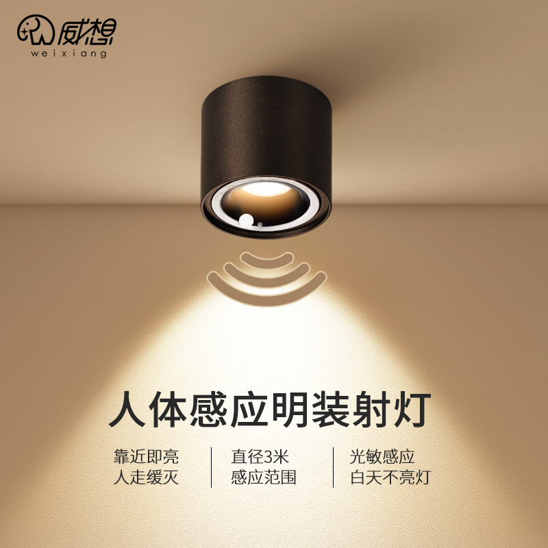 人体感应明装e射灯入户门厅过道走廊灯光控一体楼道车库灯感应筒
