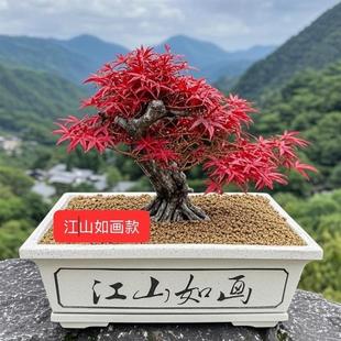 底部灌浆长方形水泥花盆模具盆景模型塑料特大模子 新款