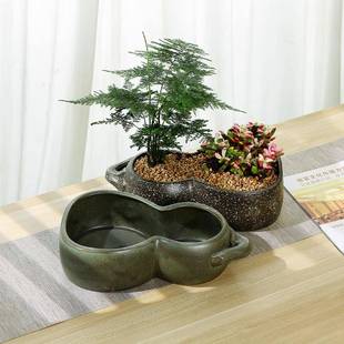 爆款葫芦多肉花盆大号水仙花盆陶瓷种花无孔铜钱草鱼缸个性水培植