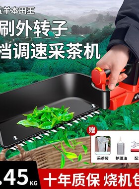 电动新款采茶机无刷单人充电式y园林紫苏豆芽剪茶叶采摘机采茶神