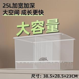 乌龟饲养盒可分隔大号养龟箱果核红面窄桥巴西蛋龟发色盒龟苗隔离