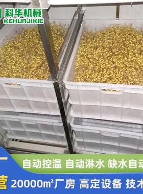 厂家热销豆芽机商用 全自商用大型动控动温淋54370水 功能豆自芽