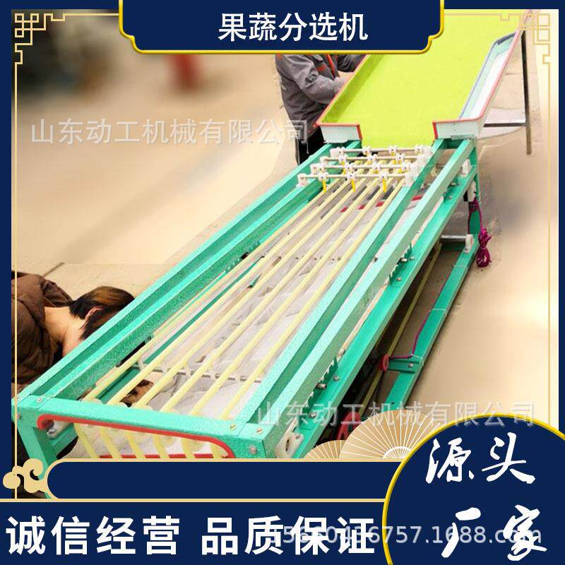 商用三月李青脆级李选机皮带式百香CFV 果荔枝龙分眼分机