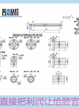 BSDN BSDS BSD2SS BSD2S BSFM  10 613 16 20 825 30滚BSD2N珠导