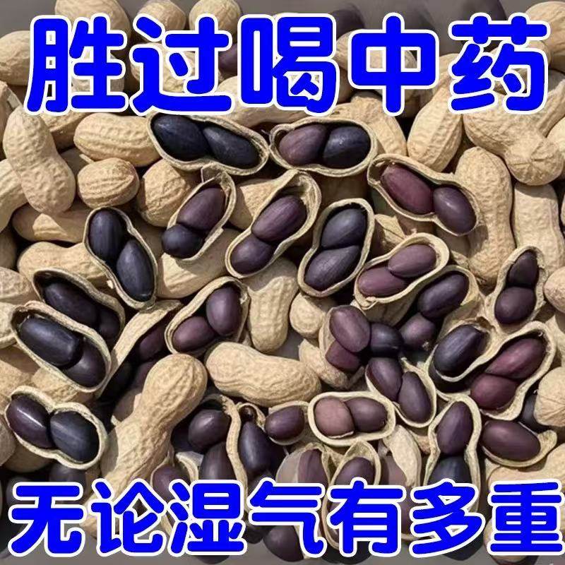 富硒黑花生农家特产正品云南黑花生带壳紫衣花生黑衣养胃带壳花生,传统滋补营养品,药膳养生粉/羹/糊,淘宝优惠券,粉丝福利购,淘宝优惠卷