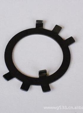 供应止退垫圈(图)-国标GB858